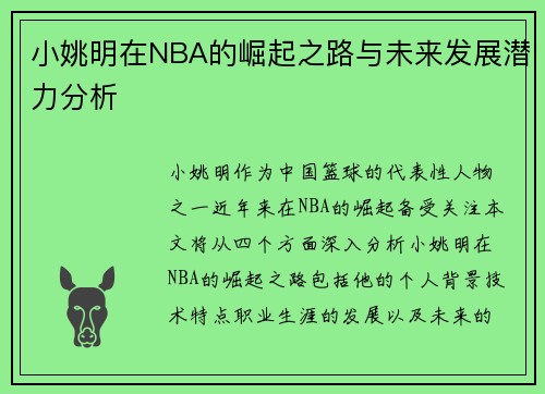 小姚明在NBA的崛起之路与未来发展潜力分析